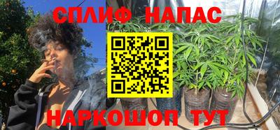 spice Усть-Джегута