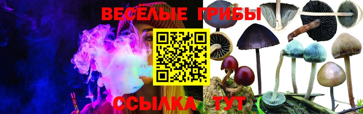 Галлюциногенные грибы GOLDEN TEACHER  Вход с VPN  Нижневартовск 